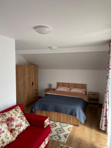 Hotel Casa Bunicilor Nucsoara  Zewnętrze zdjęcie